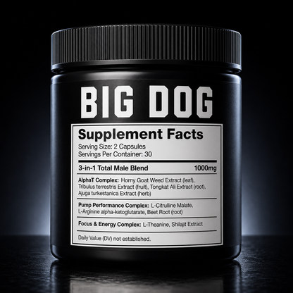 BIG DOG || BUILT FOR MEN WHO REFUSE TO SLOW DOWN